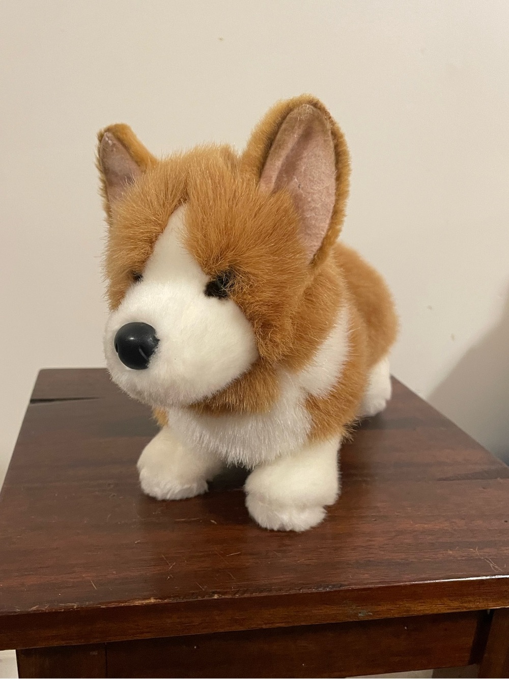 Douglas Louie Corgi Dog
